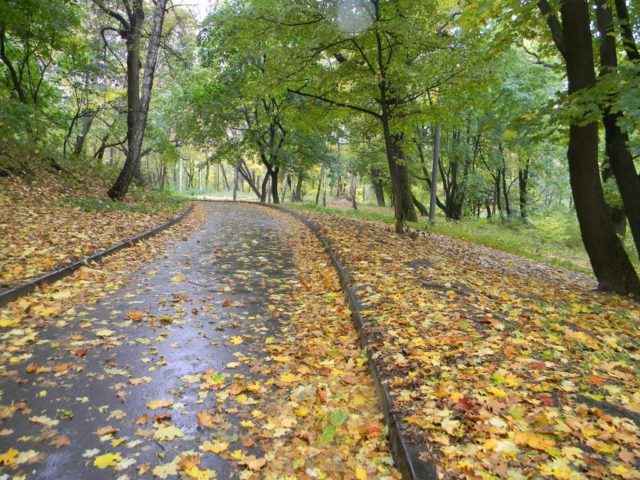 Парк «Нивки»